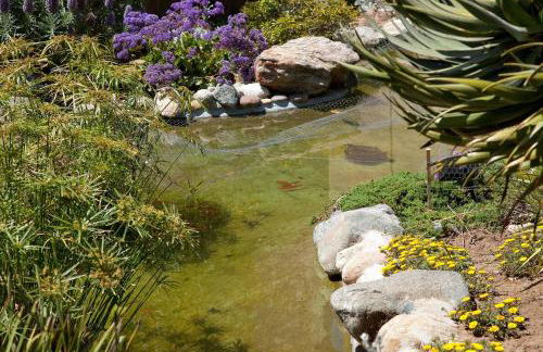 Above the Waves - SUR116 - Foto 39