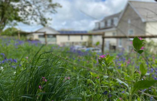 Higher Trewithen - Photo 44