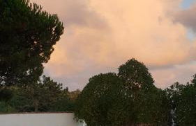 Sondela Self Catering - Foto 20