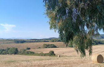 Casetta di Ciccy & Moma - Foto 11