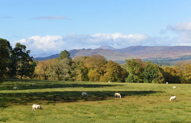 Finnich Cottages - Photo 57