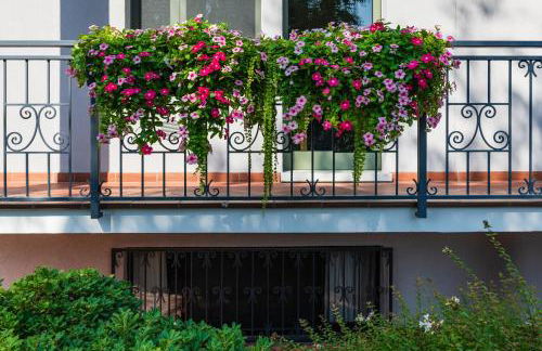 Halloggio98 - Photo 25