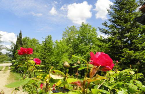 Borgo Petraio - Foto 14