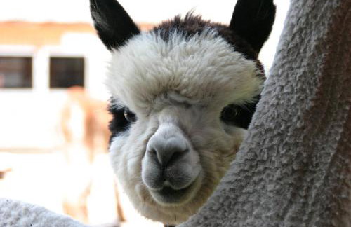 Breathtaking New Premier Lake Champlain Waterfront Escape! - Foto 12