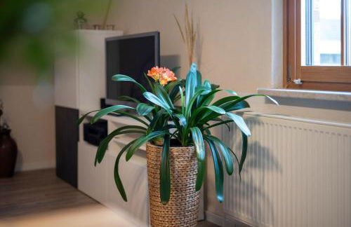 Ferienwohnung-Am-Hoepen - Foto 24