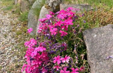 Reet und Meer Beckerwitz - Foto 11