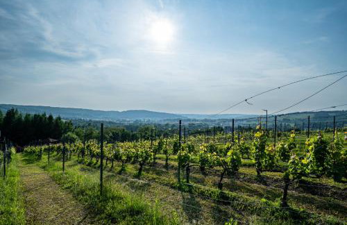 Domki Winne Tarasy - Foto 10