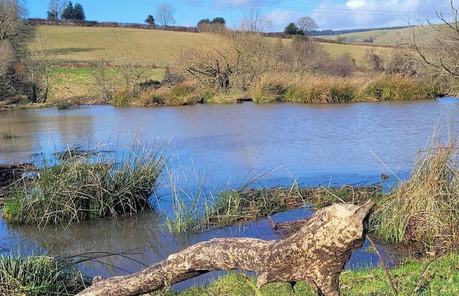 Eco Accommodation Cornflower Holiday - Foto 36