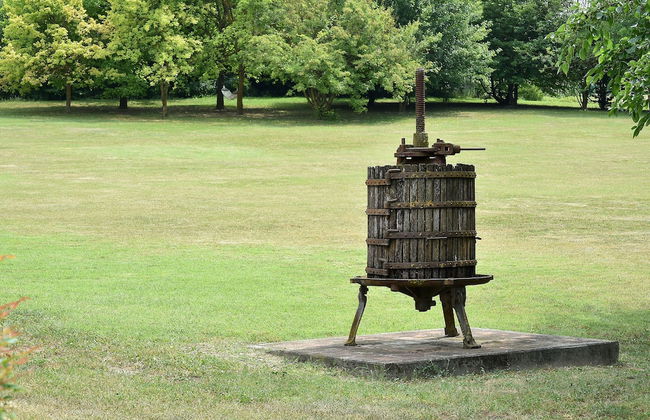 Agriturismo La Ca' D'Olga - Foto 35