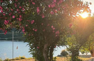 Apartman Laura - Foto 17