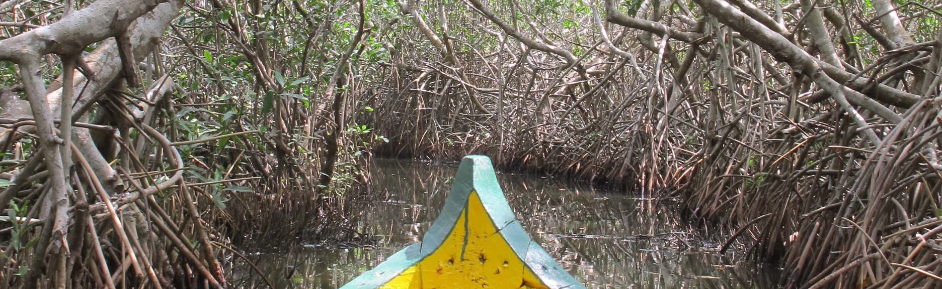 Excursión a Mandinga + Paseo en lancha