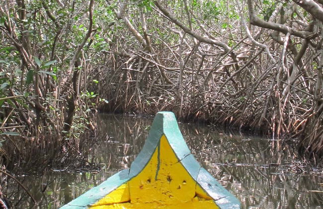 Excursion à Mandinga + Balade en bateau - Photo 1