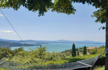 Villa La Moraiola - Foto 55