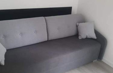 Kapelówka - Domki Lądek Zdrój 20metrów od STOKU - Foto 10