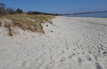 Ferienwohnung Finja in Putgarten, Kap Arkona Rügen - Foto 32