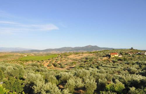 Quinta Rota d' Oliveira - Foto 50