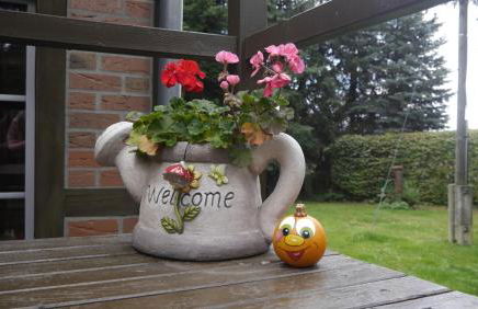 Ferienwohnung Kluge - Foto 17