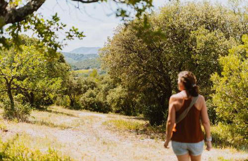 Bastidon La Garrigue - Foto 41