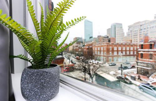 Charming Studio on Boston's Iconic Newbury St. #8 - Foto 29