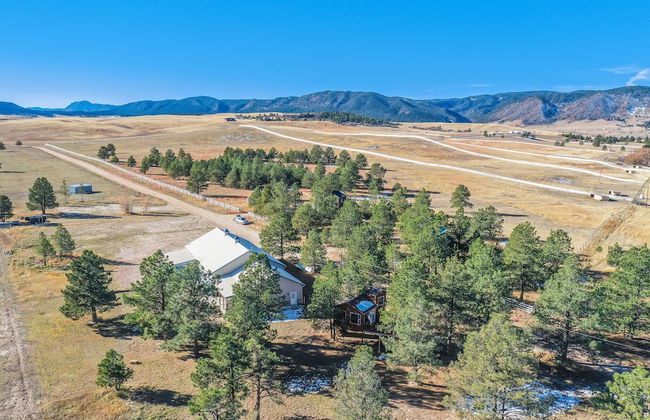 Tree Deer Blind - Foto 43