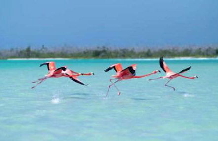 Spacious Ground floor apartment with Garden & Communal Pool - Foto 49