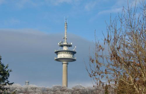 Ferienwohnung Taunuspanorama Eppenhain - Foto 12