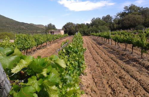 Alojamiento Rural La Cañada - Foto 95