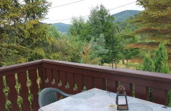 Apartament pod Magnolią - Foto 1