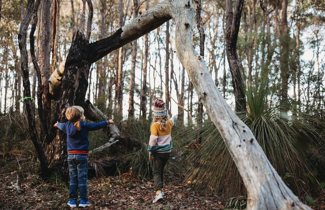 Margaret River Holiday Cottages - Photo 46