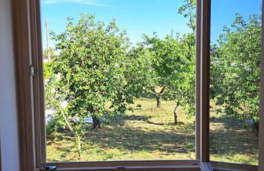 Trulli Gianfelice - Foto 9