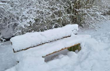 Schwarzwaldmarie - Foto 55