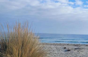 Maison charmante avec vue sur la montagne à Prunelli di Fiumorbo - Foto 33
