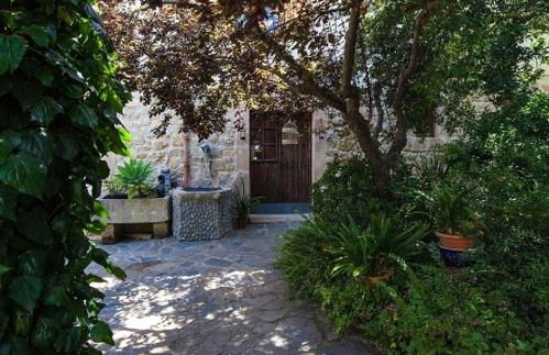 Can tronca - Foto 13