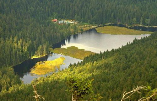 Cozy Apartment in Ruhmannsfelden With Swimming Pool - Foto 84