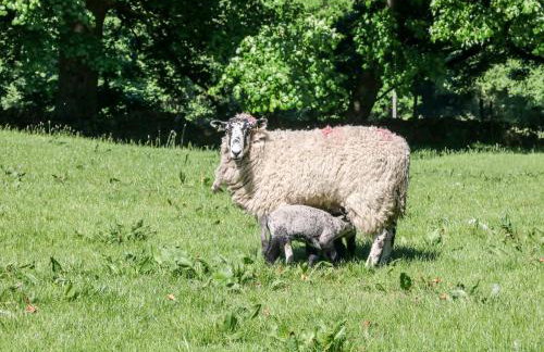 Keepers Cottage - Photo 21