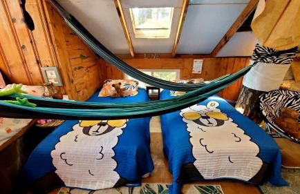 Magical Tree House Rental Nestled in the Woods on Farm Retreat near St. Louis, Missouri - Foto 13