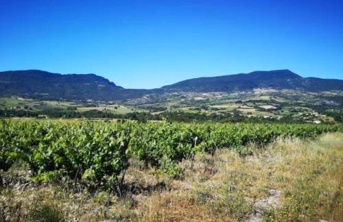 Le Cigalou - Drôme Provencale - Foto 18