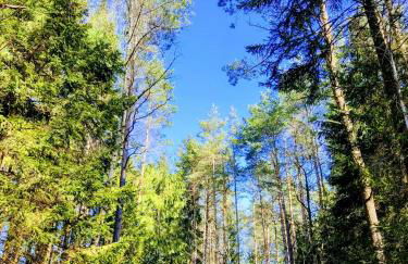 Gasthaus Piesau - Thüringer Wald - Rennsteig - Foto 71