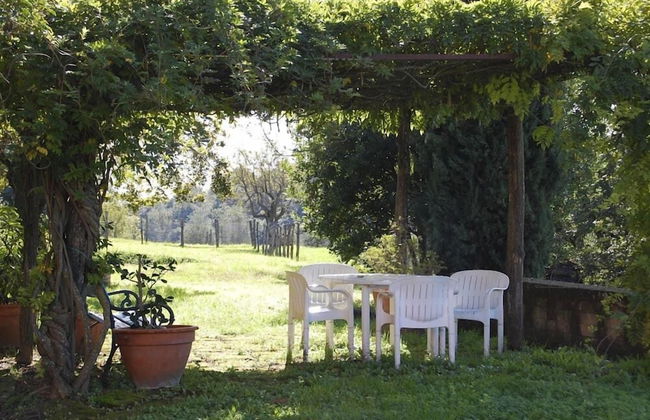 Verdidea - Podere Torre - Foto 44