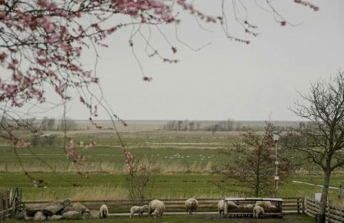 Nordfriesisches Apartement Auf Der Insel Föhr - Foto 6
