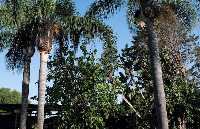 WOT Algarve Soul - Photo 44