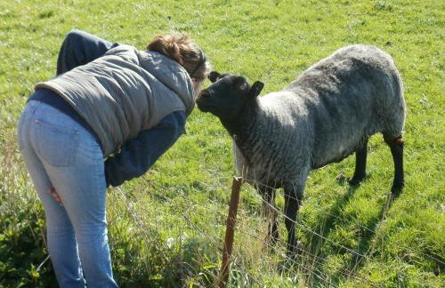 Apartment Radmokerhuus - Foto 17