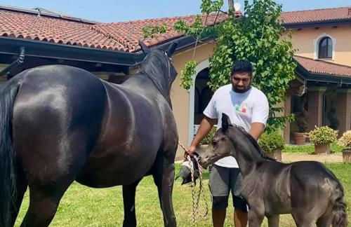 Agriturismo Il Boschetto - Foto 81