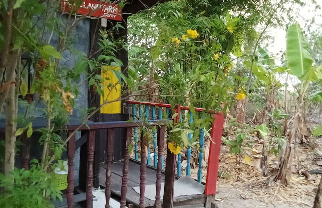 peaceland farmstay - Photo 28