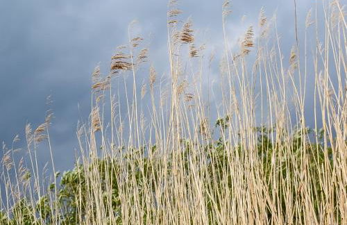 Ferienhaus Gut Glück - Foto 37
