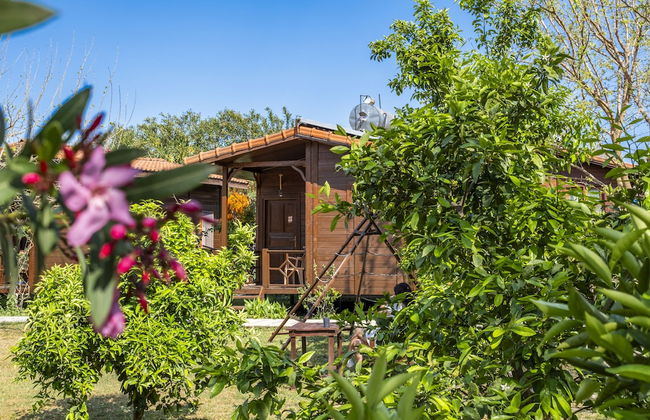 La Maison Hotel Çıralı - Foto 19