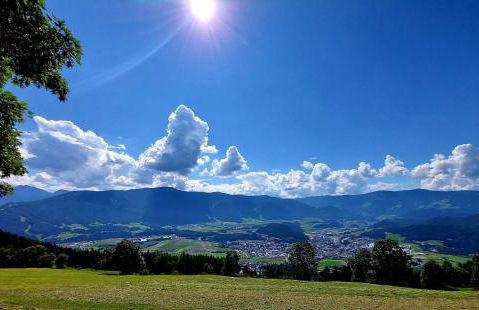 Krebslechnerhof - Foto 80