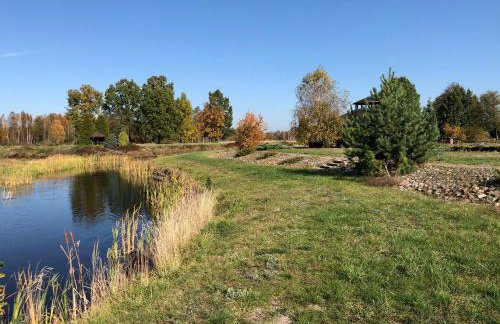 Gospodarstwo Agroturystyczne Zasadkowe Bory - Foto 19