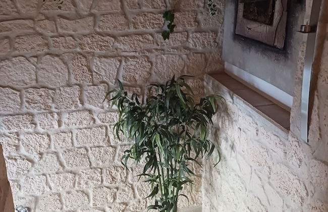 Hotel du Lac - Foto 9