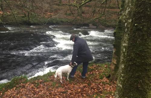 Sausage Cottage in Oakford Village 4 Bed Garden Local Pub - Foto 24